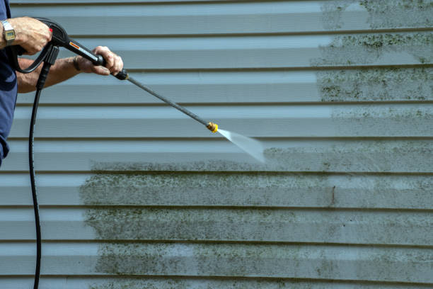 Best Roof Washing  in Brewster, NY
